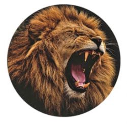 Capteur Freestyle Libre sticker Lion